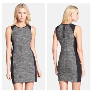 Eileen Fisher Gray and Black Sheath Mini Dress Sleeveless Crew Neck